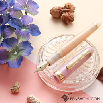 Buy PLATINUM Limited Edition #3776 Century Fountain Pen - Chai Tea Slip and Seal Mechanism 14k Gold nib fountain pen directly from Japan. Nib Size: F (Fine). Best price fountain pen. Origin Japan