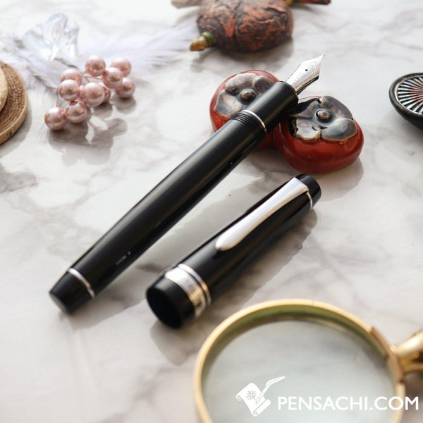 PILOT Custom Heritage 912 Fountain Pen - Black– PenSachi