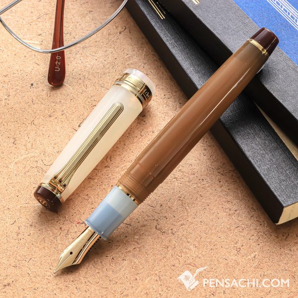 SAILOR Limited Edition Pro Gear Slim Fountain Pen - Siamese