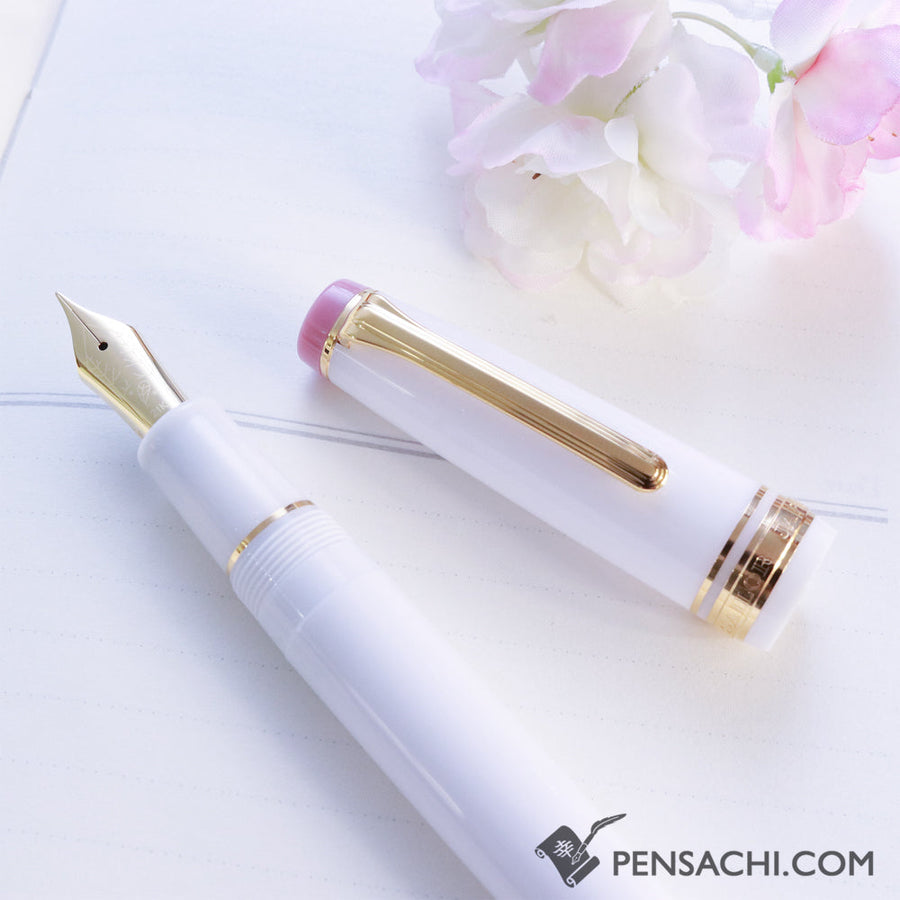 SAILOR Limited Edition Pro Gear Fountain Pen Set - Shimaenaga - PenSachi Japanese Limited Fountain Pen