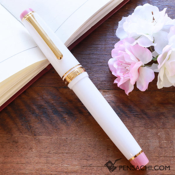 SAILOR Limited Edition Pro Gear Fountain Pen - Shimaenaga