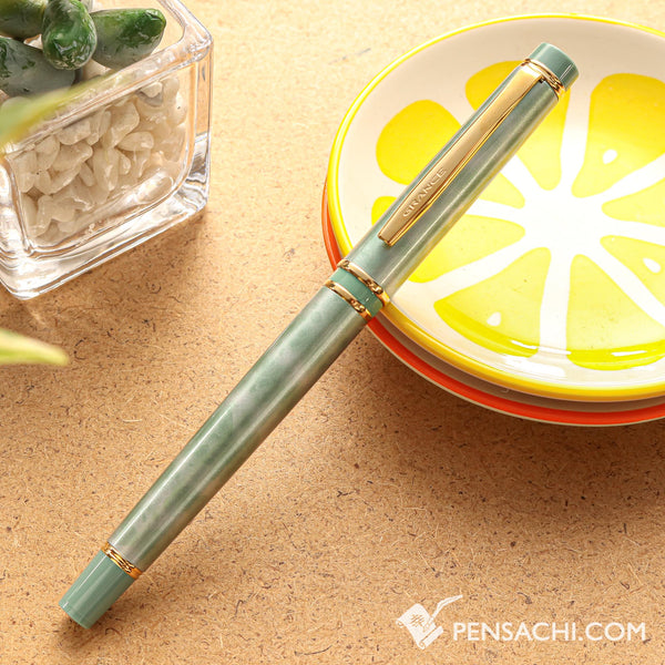 PILOTGranceFountainPen-