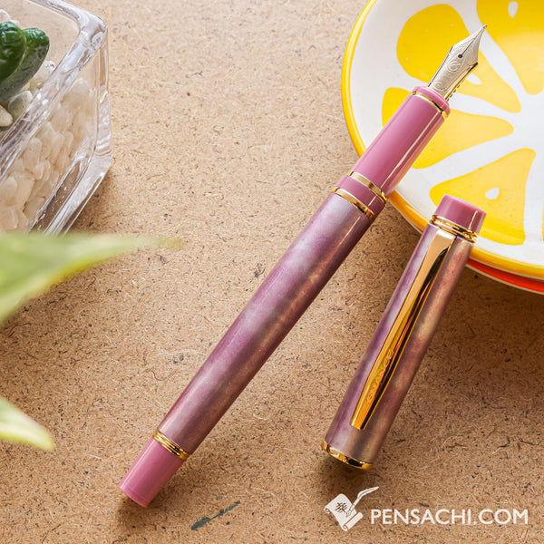 PILOT Grance Fountain Pen - Marble Pink | PenSachi - Japan Limited