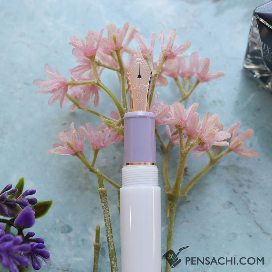 PLATINUM Limited Edition #3776 Century Fountain Pen - Misty Bloom