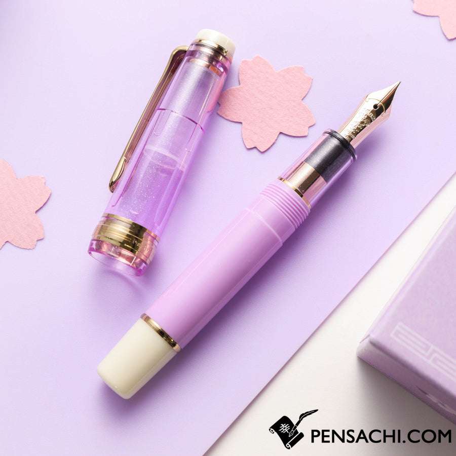 Sailor Limited Edition Professional Gear Slim Mini Fountain Pen