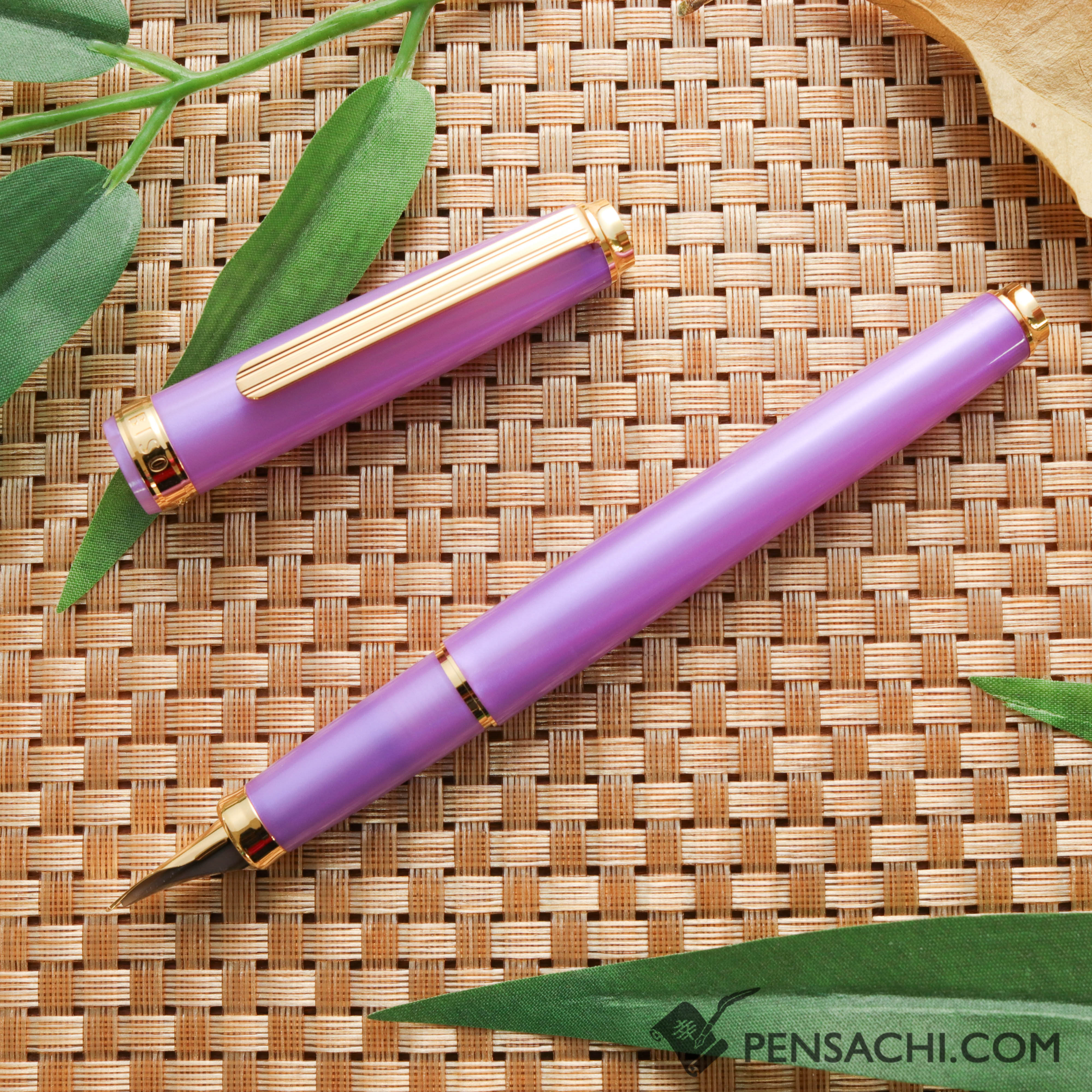 PLATINUM Biso Fountain Pen - Mystic Purple (Limited Edition Color