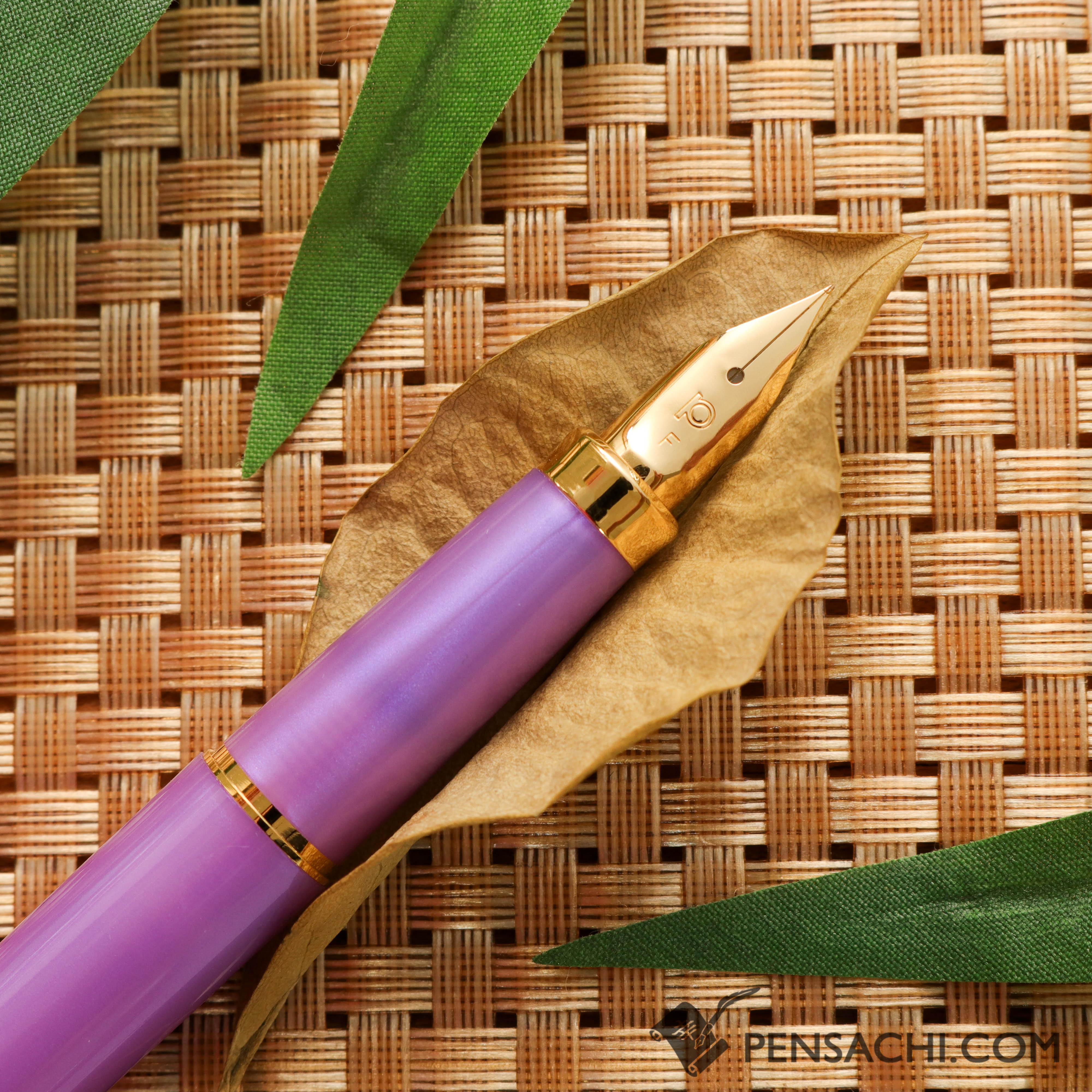 PLATINUM Biso Fountain Pen - Mystic Purple (Limited Edition Color