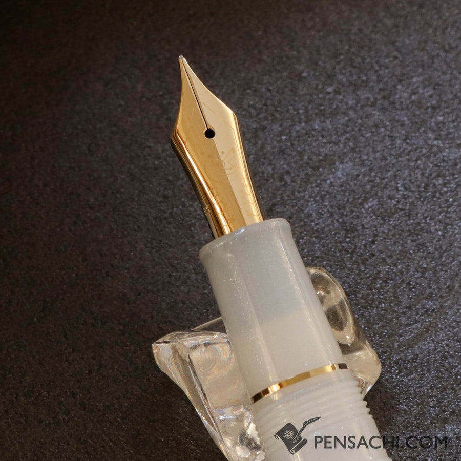 SAILOR Limited Edition Pro Gear Slim Fountain Pen - Ezofukurou
