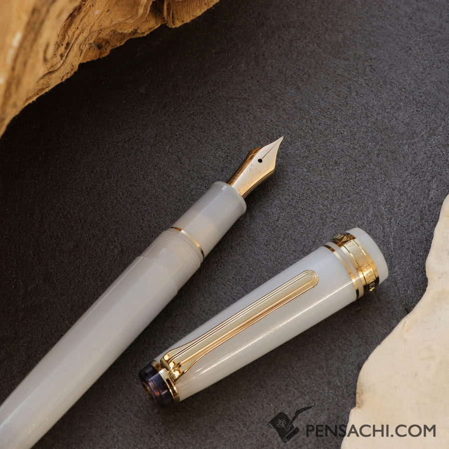 SAILOR Limited Edition Pro Gear Slim Fountain Pen - Ezofukurou