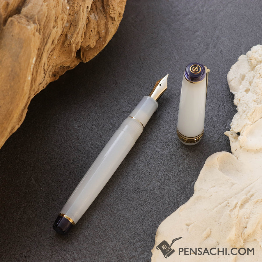 SAILOR Limited Edition Pro Gear Slim Fountain Pen - Ezofukurou