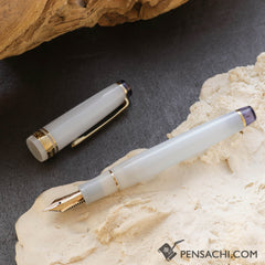 SAILOR Limited Edition Pro Gear Slim Fountain Pen - Ezofukurou - PenSachi Japanese Limited Fountain Pen