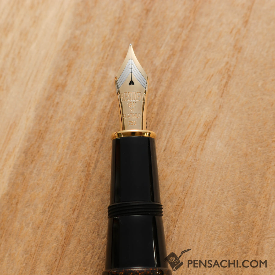 PLATINUM Izumo Maki Hama no Matsu Fountain Pen - PIZ-500000-55