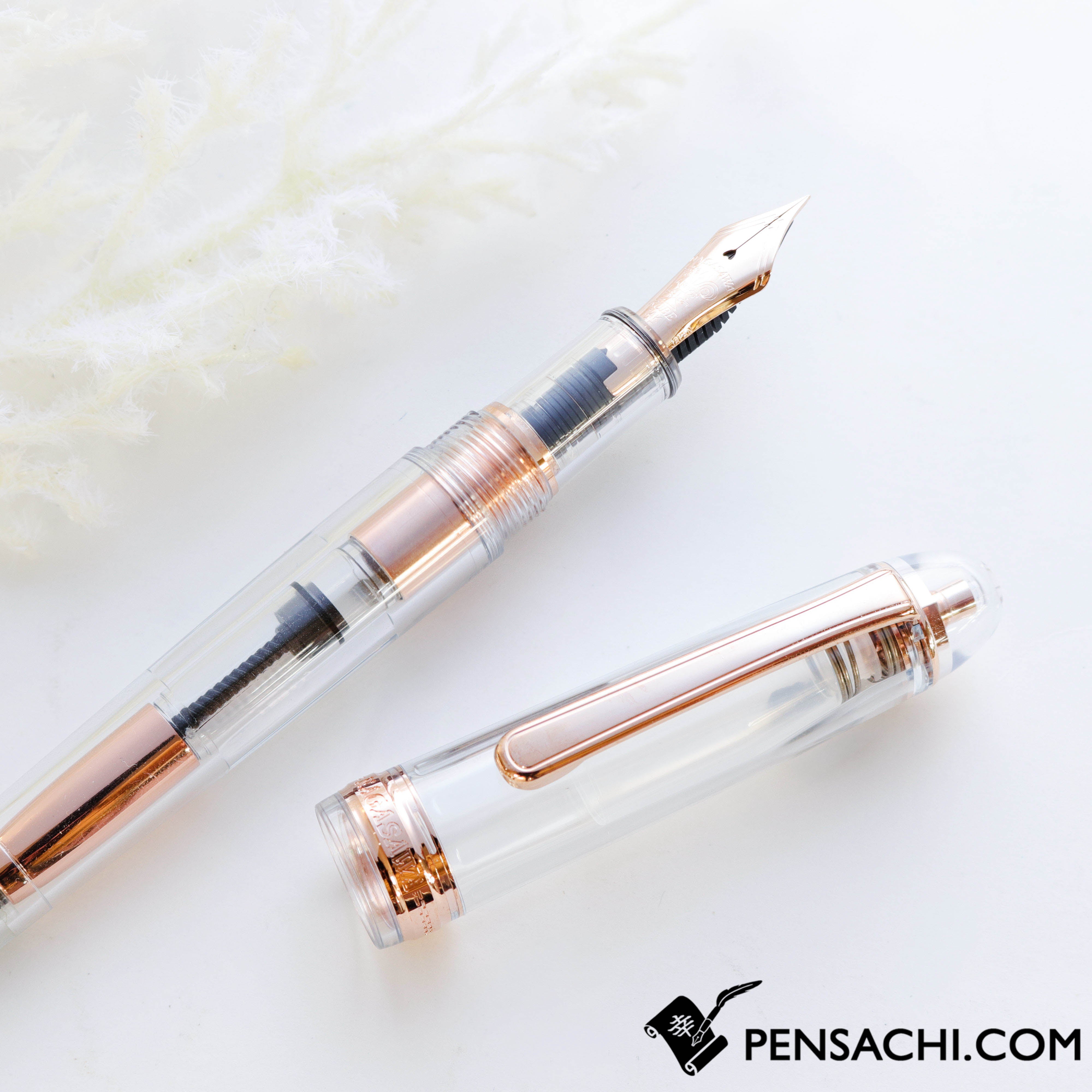 PLATINUM Limited Edition #3776 Century Fountain Pen - Skeleton