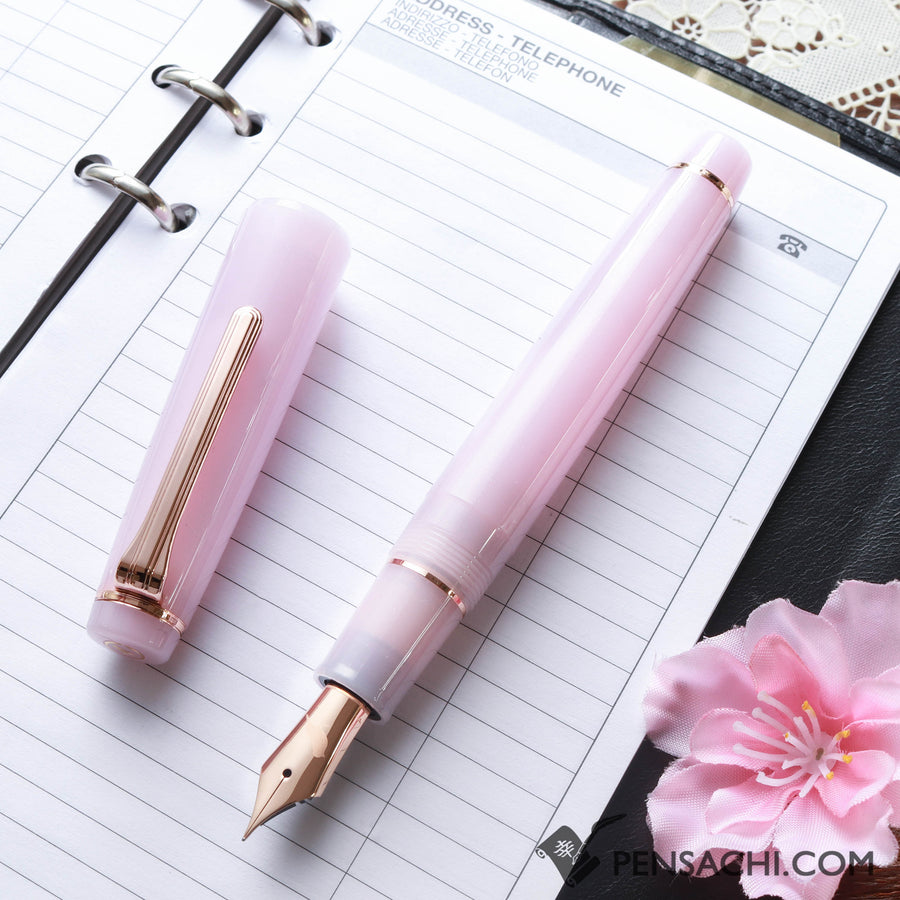 SAILOR Limited Edition Pro Gear Classic Fountain Pen - Sakuranezumi - PenSachi Japanese Limited Fountain Pen