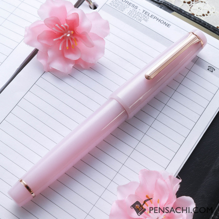 SAILOR Limited Edition Pro Gear Classic Fountain Pen - Sakuranezumi - PenSachi Japanese Limited Fountain Pen