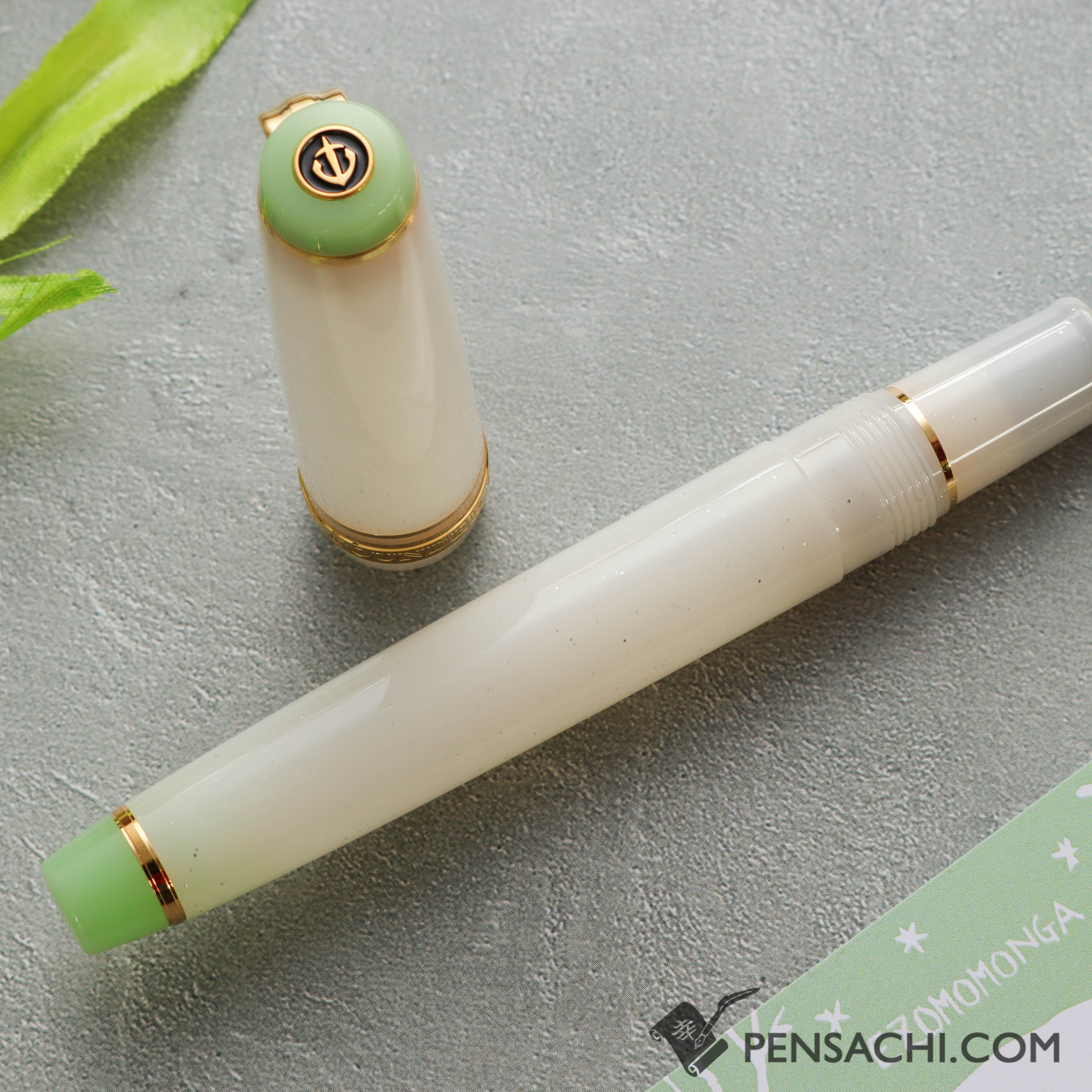 SAILOR Limited Edition Pro Gear Slim Fountain Pen Set - Ezomomonga
