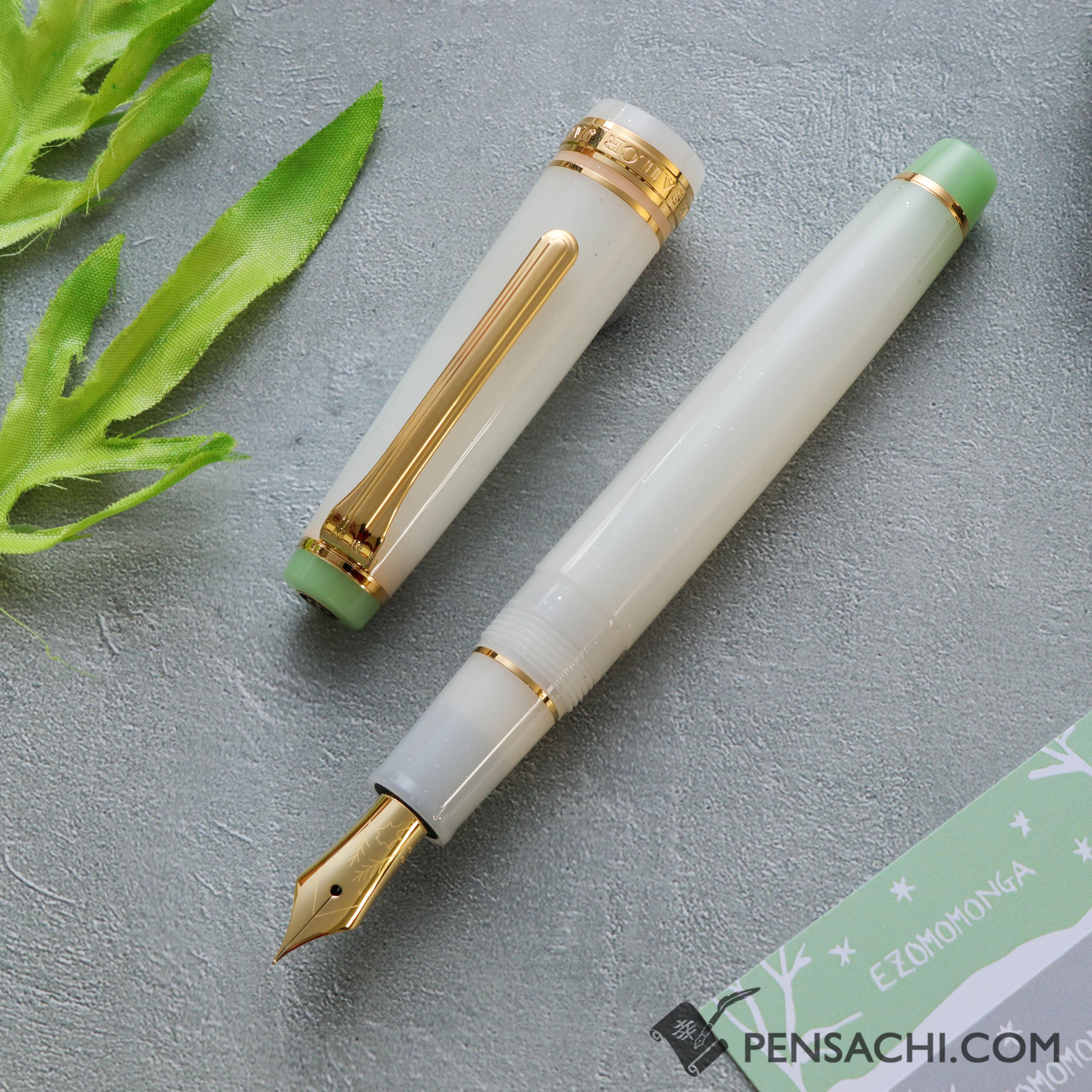 SAILOR Limited Edition Pro Gear Slim Fountain Pen Set