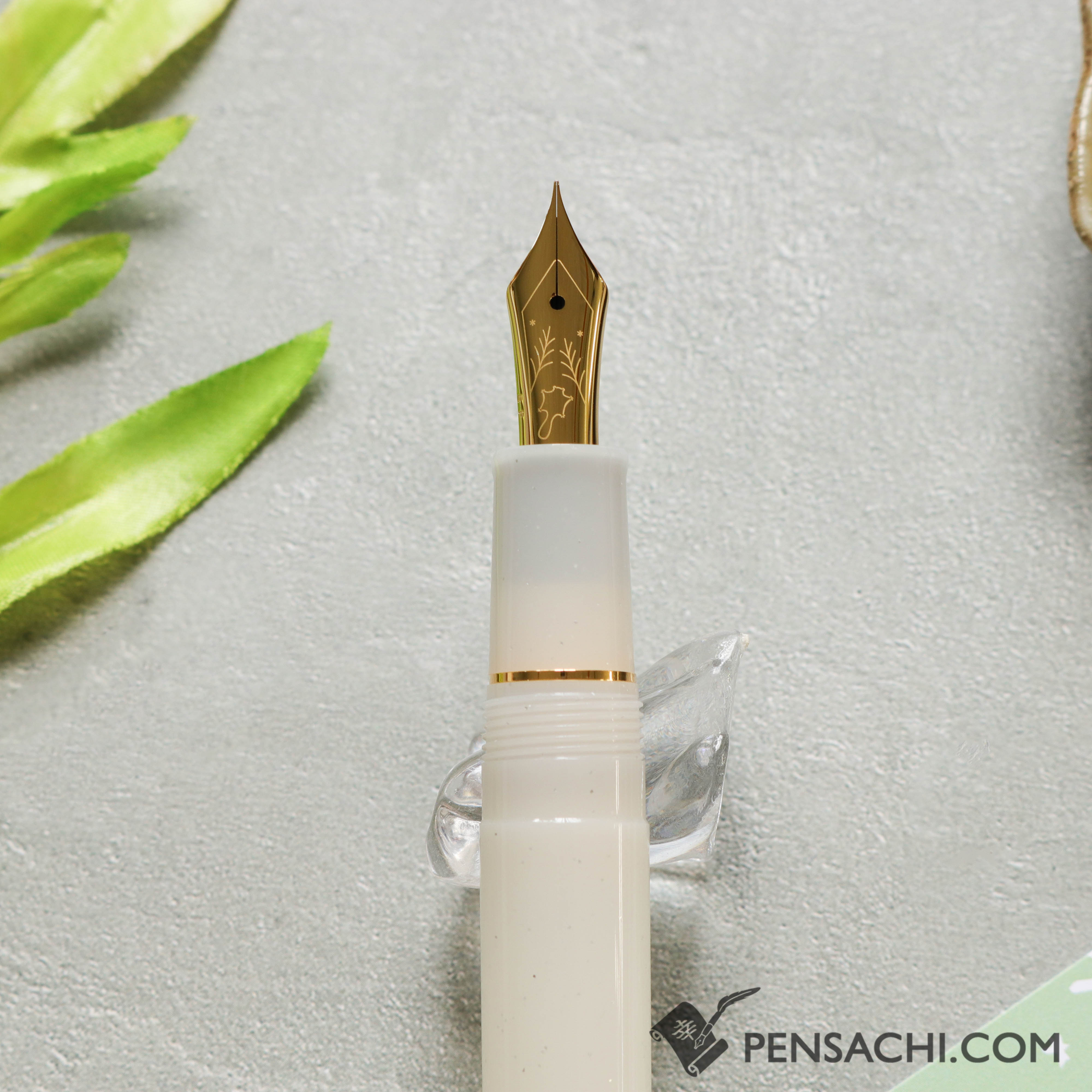 SAILOR Limited Edition Pro Gear Slim Fountain Pen Set - Ezomomonga