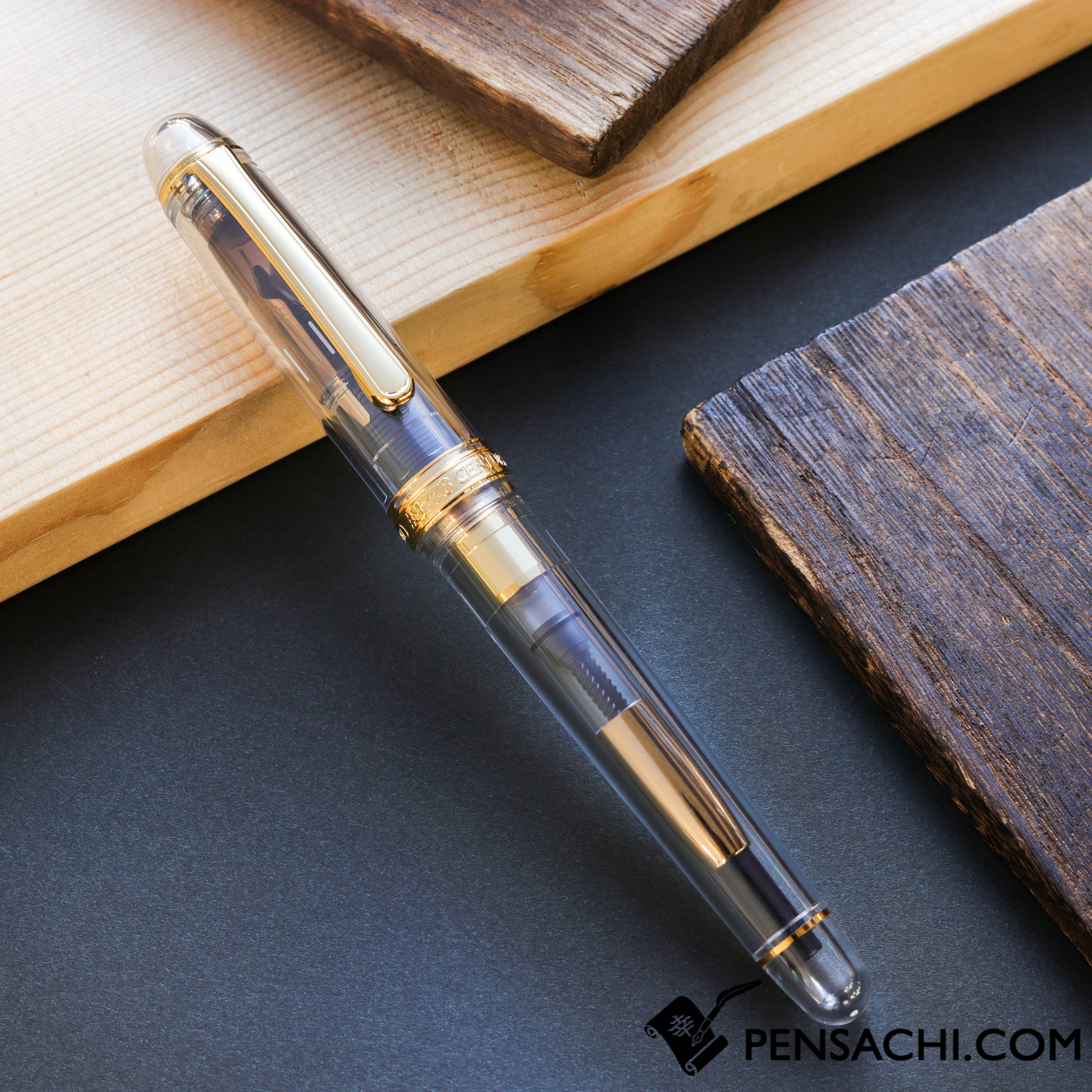 PLATINUM Limited Edition #3776 Century Ver 2.0 Fountain Pen
