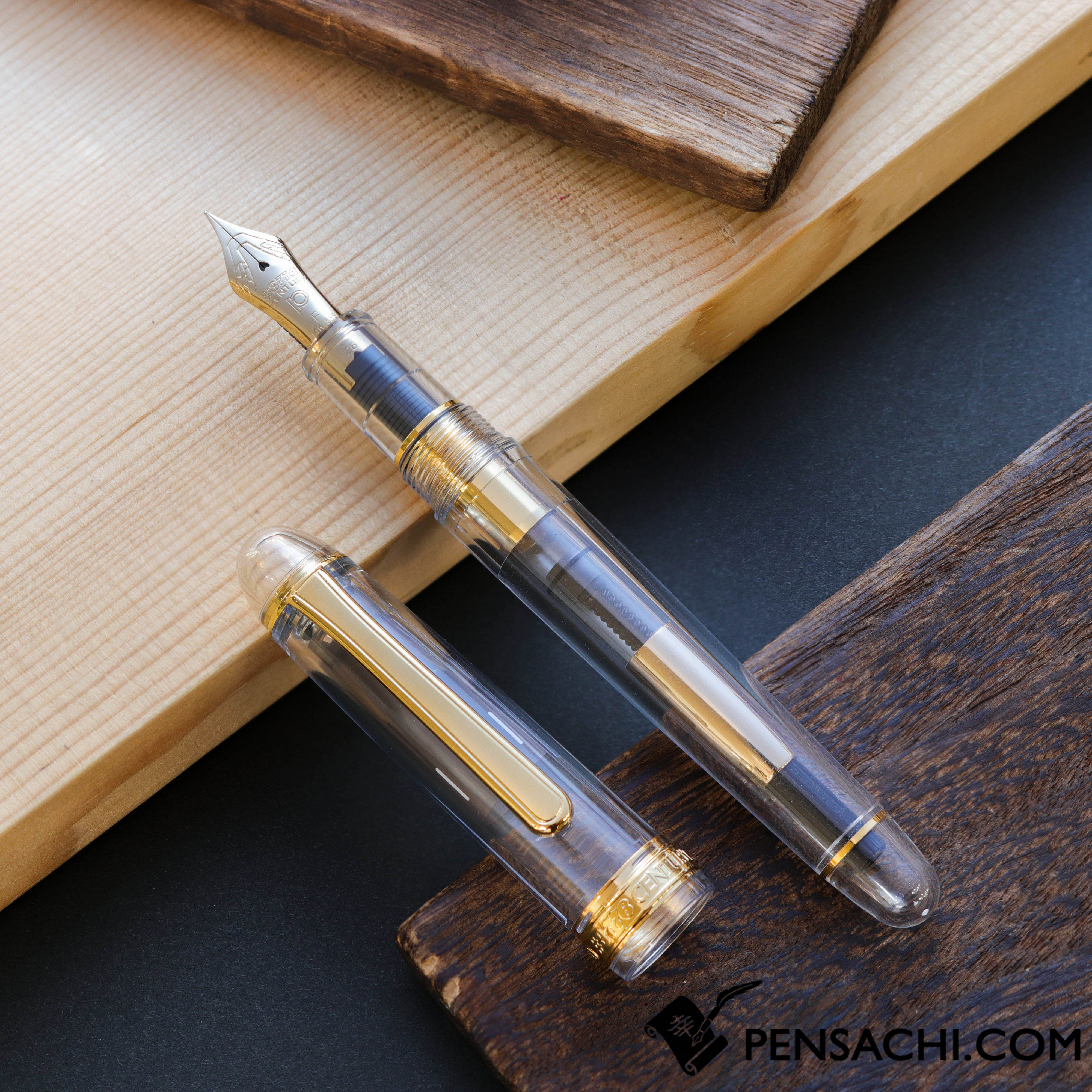 初期ロット　PLATINUM　#3776　センチュリー　ニース　リラ　M-nib PLATINUM Limited Edition #3776 Century Ver 2.0 Fountain Pen