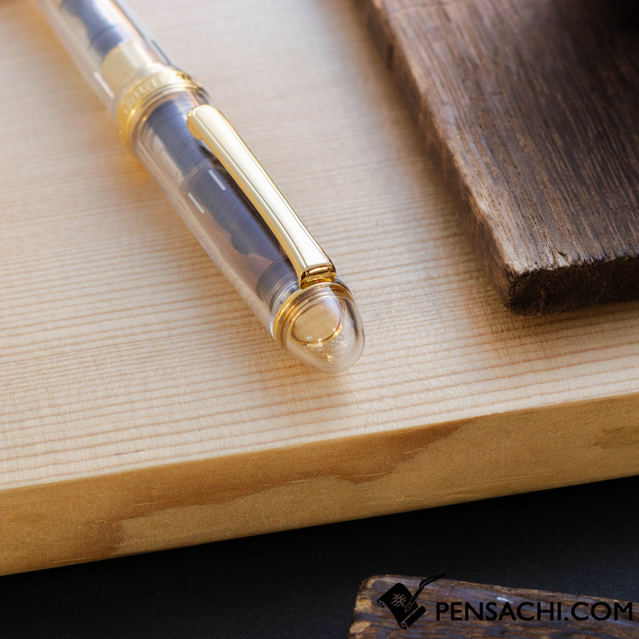PLATINUM Limited Edition #3776 Century Ver 2.0 Fountain Pen