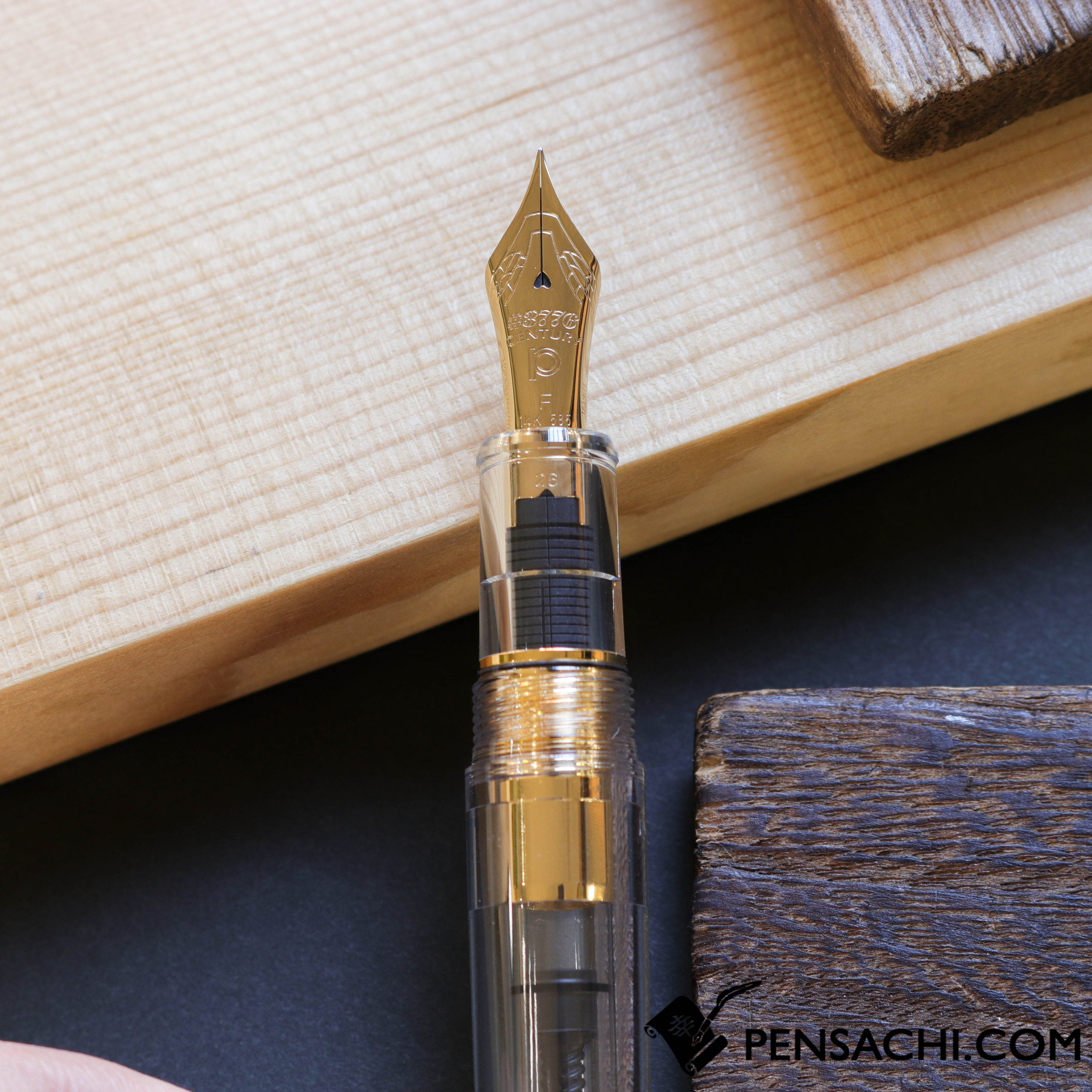 PLATINUM Limited Edition #3776 Century Ver 2.0 Fountain Pen