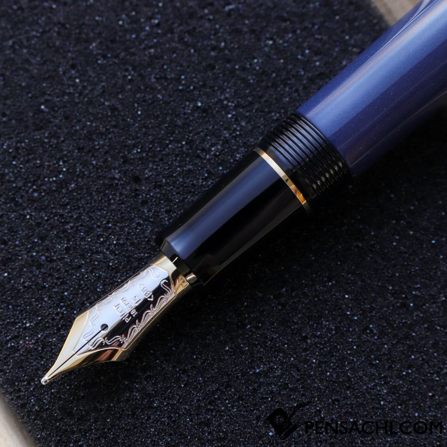PILOT Custom 845 Fountain Pen - Deep Blue– PenSachi