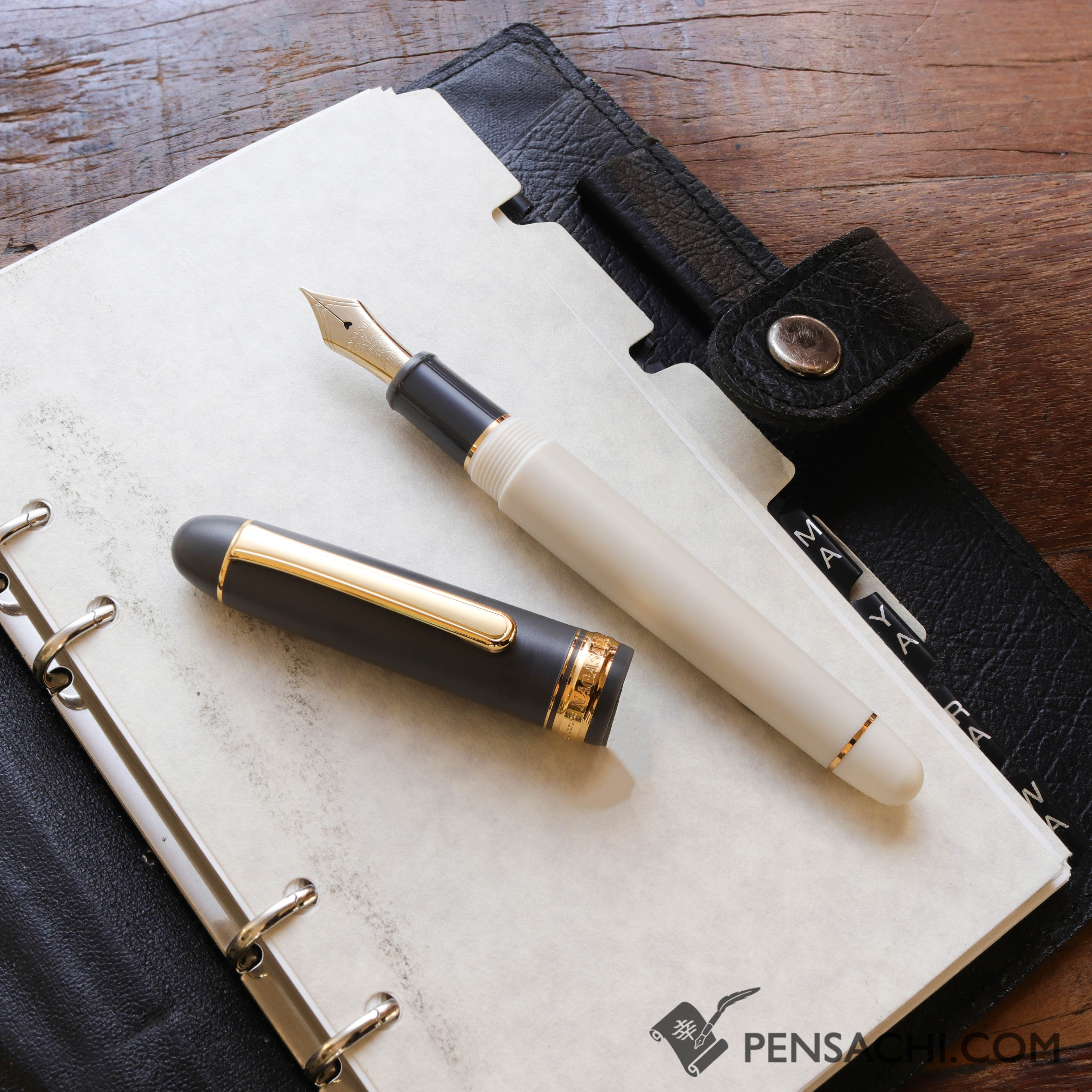 PLATINUM #3776 Century Fountain Pen - Silhouette Gray x