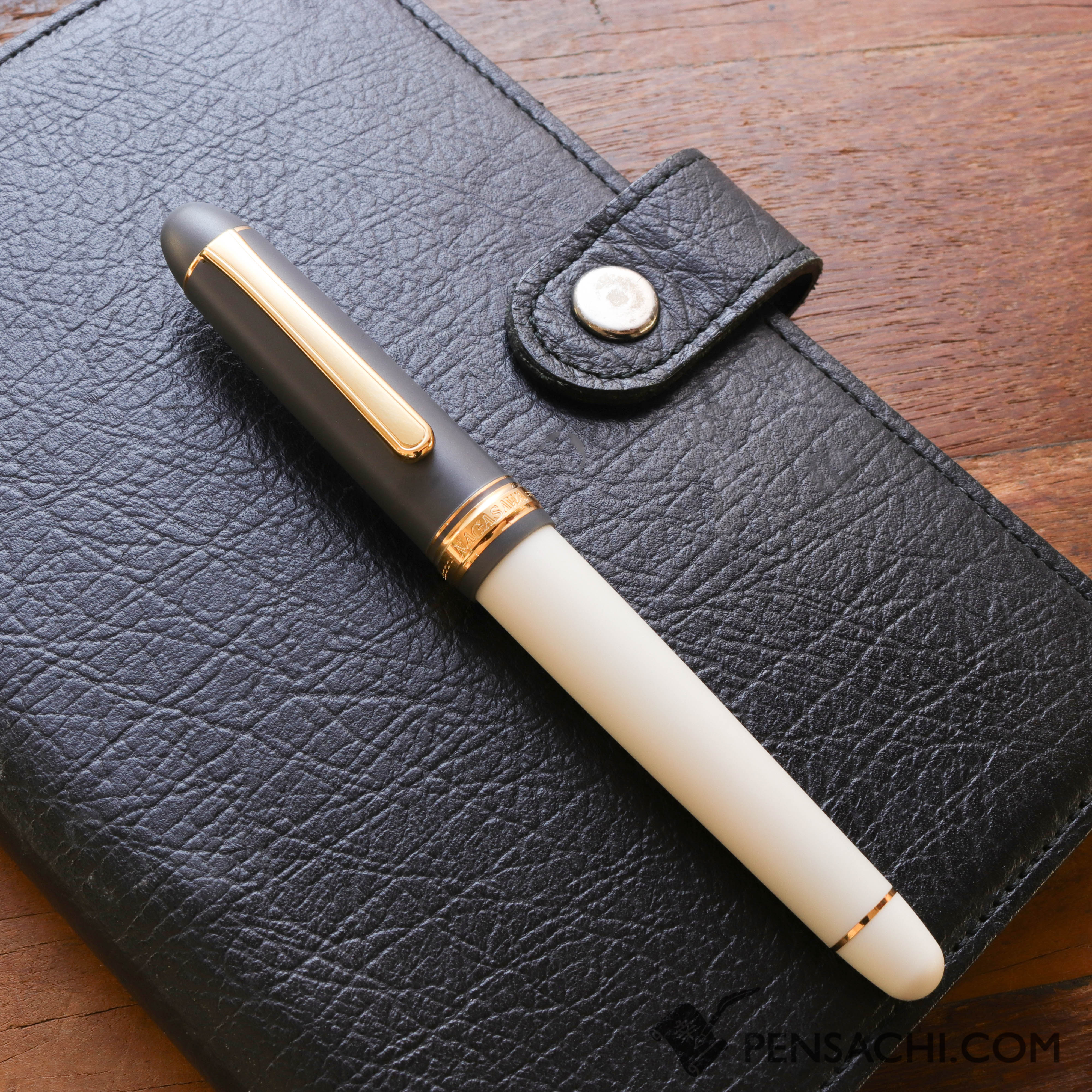 PLATINUM #3776 Century Fountain Pen - Silhouette Gray x Ivory