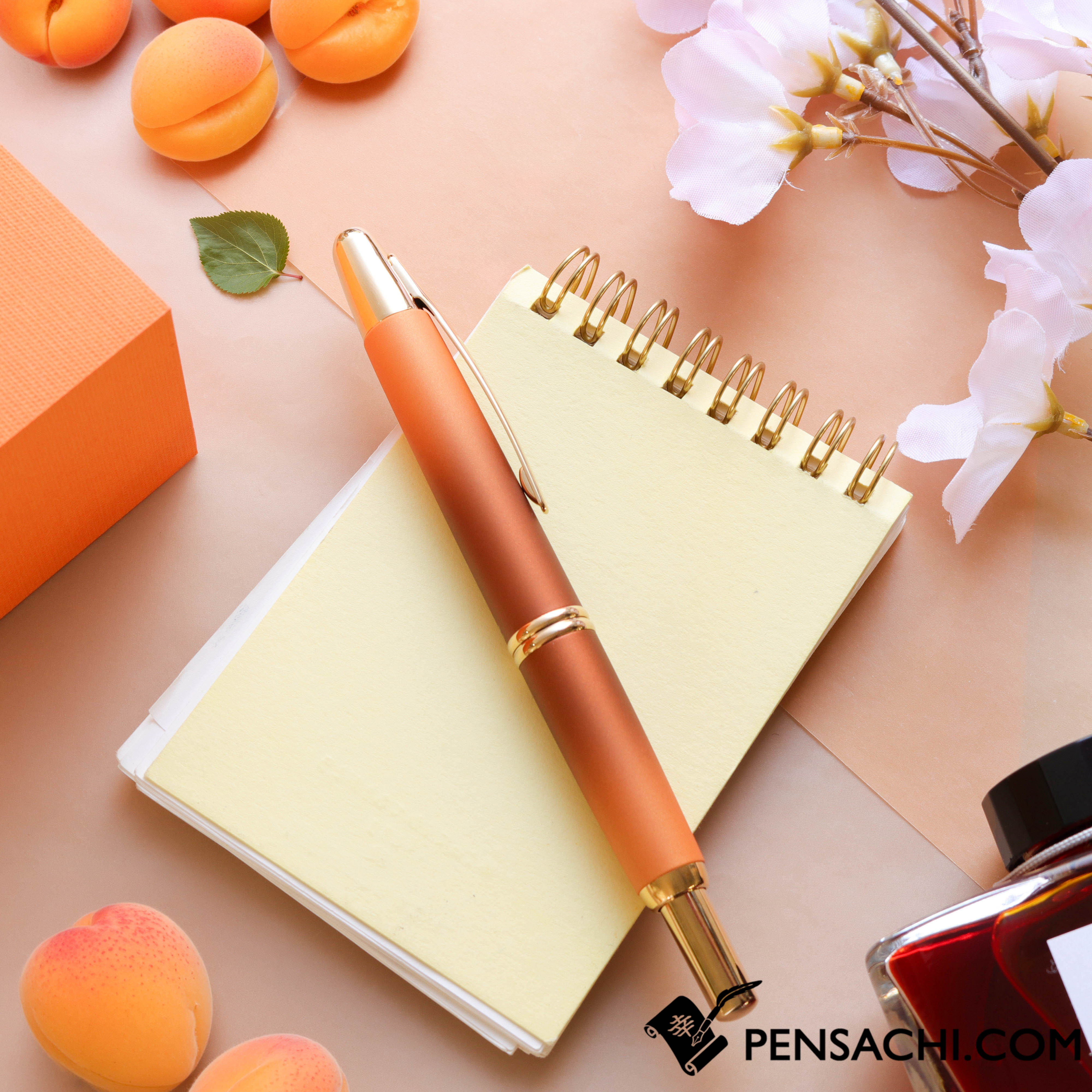 pointless journey 2点セット PILOT Limited Edition Vanishing Point Capless Set - Apricot– PenSachi