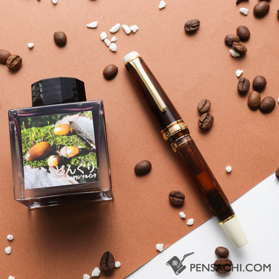 SAILOR Limited Edition Pro Gear Realo Fountain Pen Set - Donguri - PenSachi Japanese Limited Fountain Pen