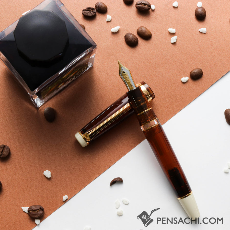SAILOR Limited Edition Pro Gear Realo Fountain Pen Set - Donguri - PenSachi Japanese Limited Fountain Pen