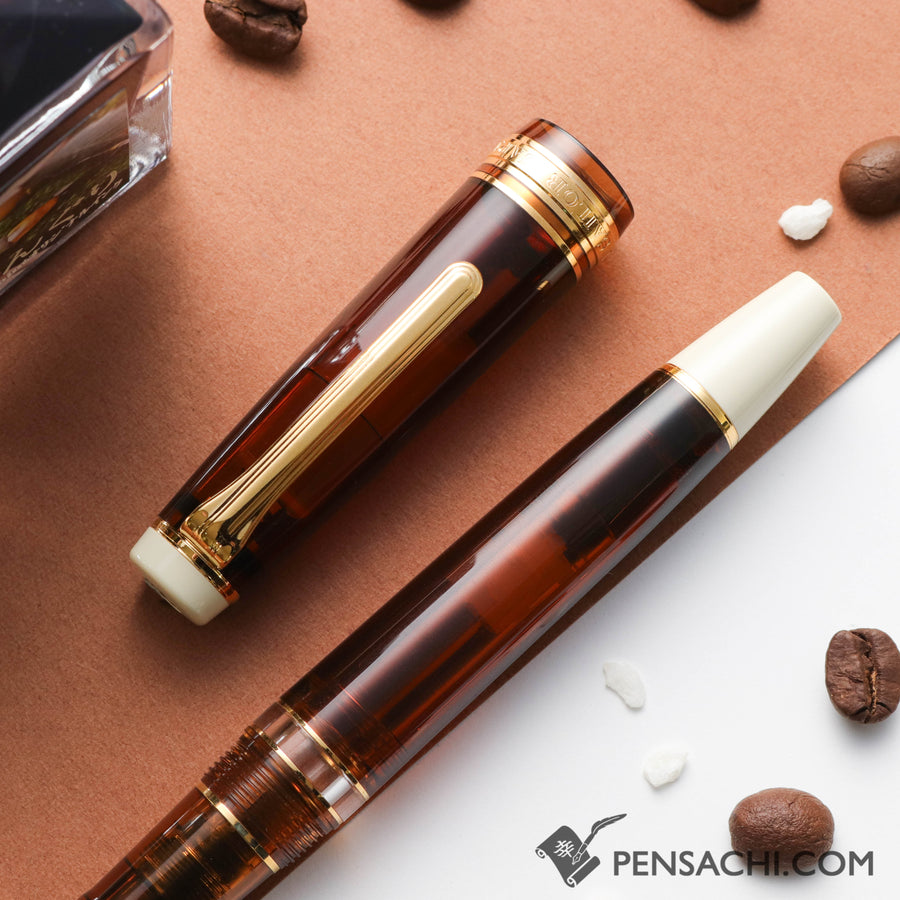 SAILOR Limited Edition Pro Gear Realo Fountain Pen Set - Donguri - PenSachi Japanese Limited Fountain Pen