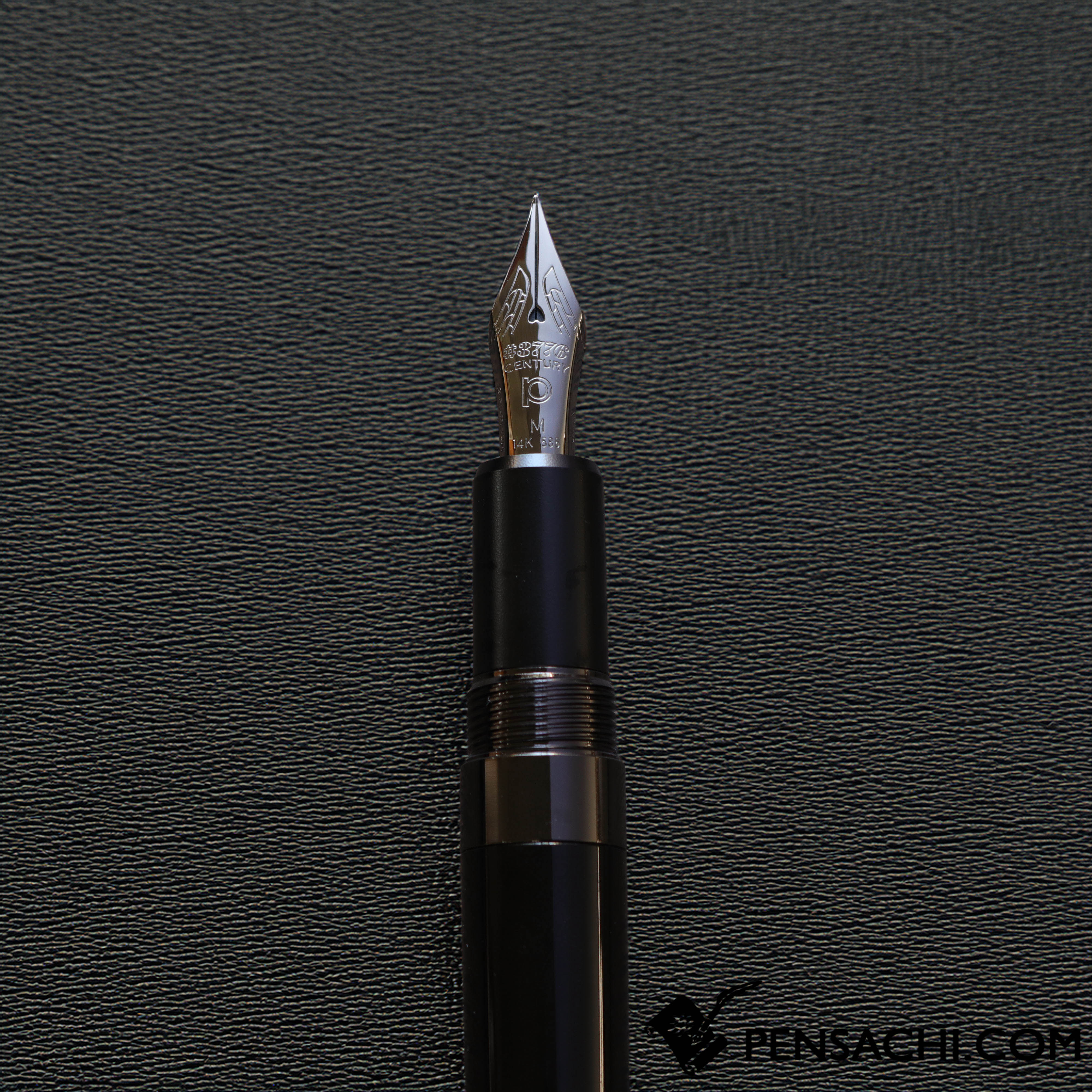 PLATINUM #3776 Century Limited Edition Fountain Pen - Travia– PenSachi
