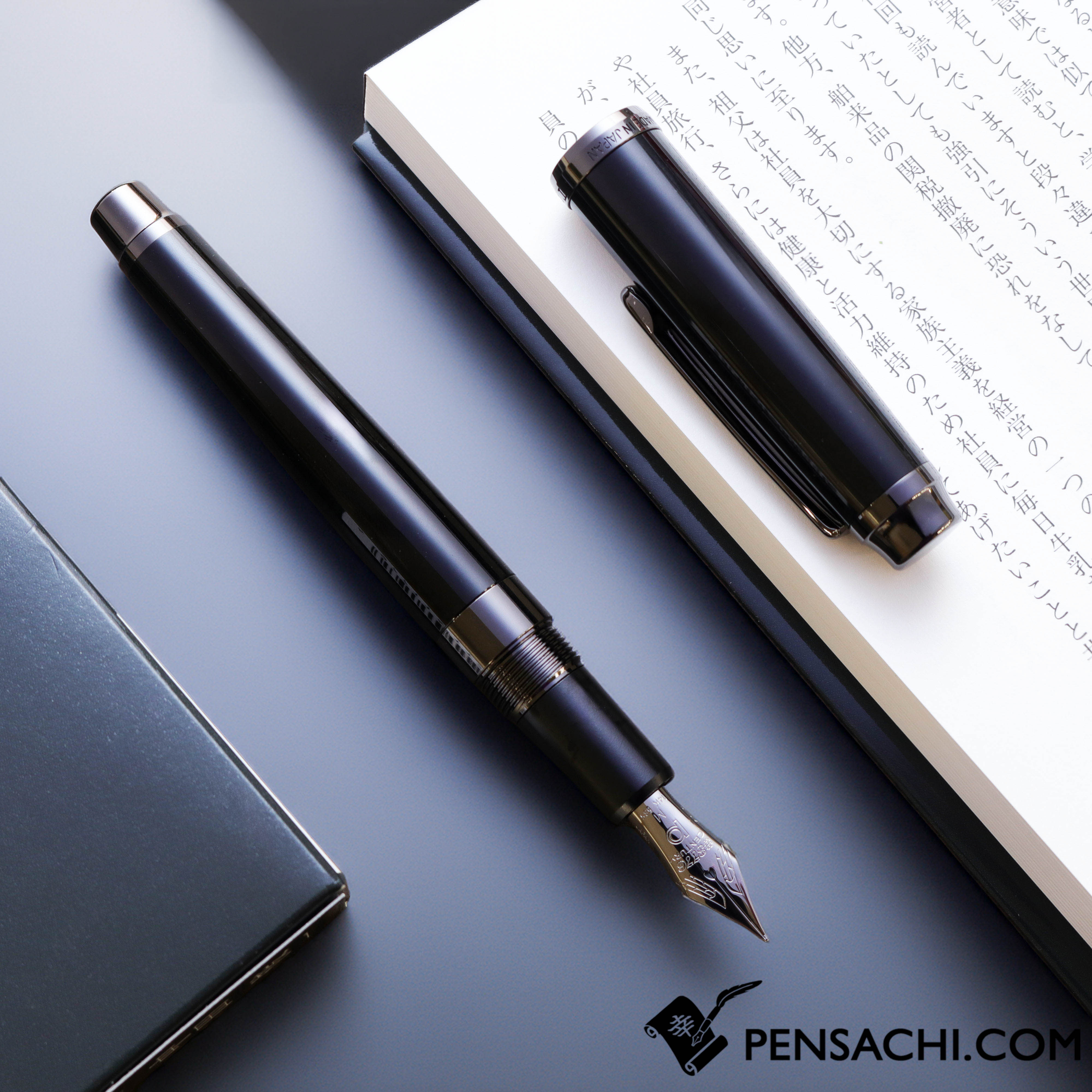 PLATINUM #3776 Century Limited Edition Fountain Pen - Travia– PenSachi