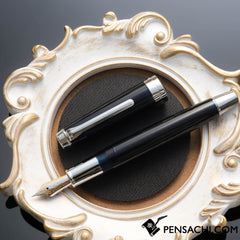 SAILOR Pro Gear Anchor Fountain Pen - Silver Trim - PenSachi Japanese Limited Fountain Pen