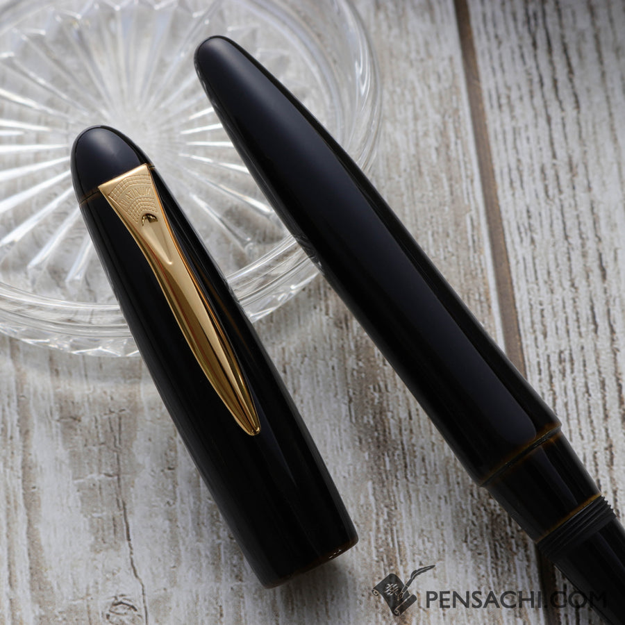 PLATINUM Izumo Tamenuri Fountain Pen - Biwatame - PenSachi Japanese Limited Fountain Pen