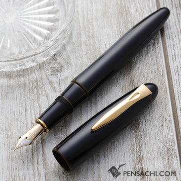 PLATINUM Izumo Tamenuri Fountain Pen - Biwatame - PenSachi Japanese Limited Fountain Pen