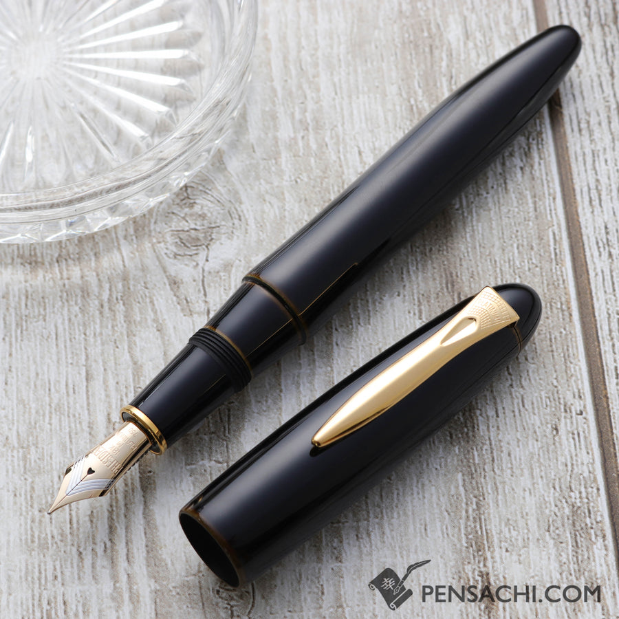 PLATINUM Izumo Tamenuri Fountain Pen - Biwatame - PenSachi Japanese Limited Fountain Pen