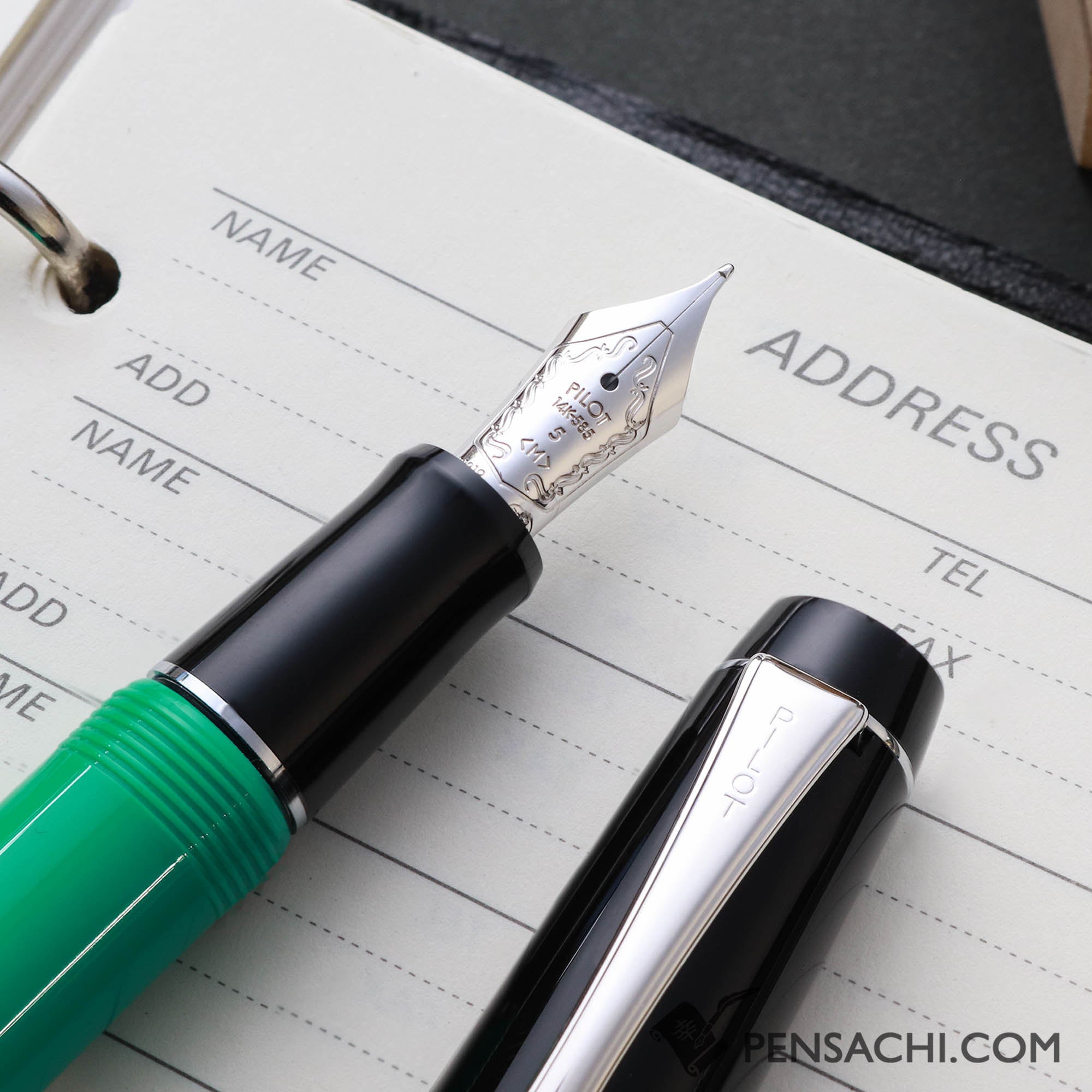 PILOT Limited Edition Custom Heritage 91 Fountain Pen - Forest