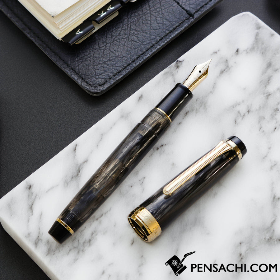 SAILOR Limited Edition Veilio Fountain Pen - Pearl Black– PenSachi