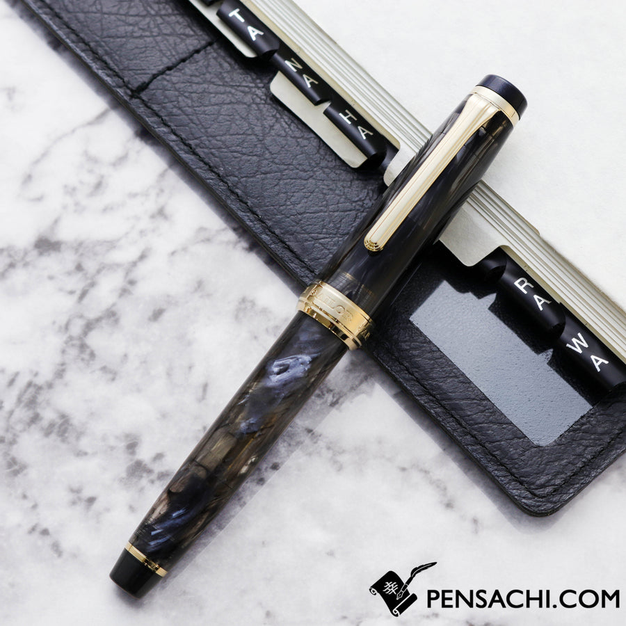 SAILOR Limited Edition Veilio Fountain Pen - Pearl Black– PenSachi