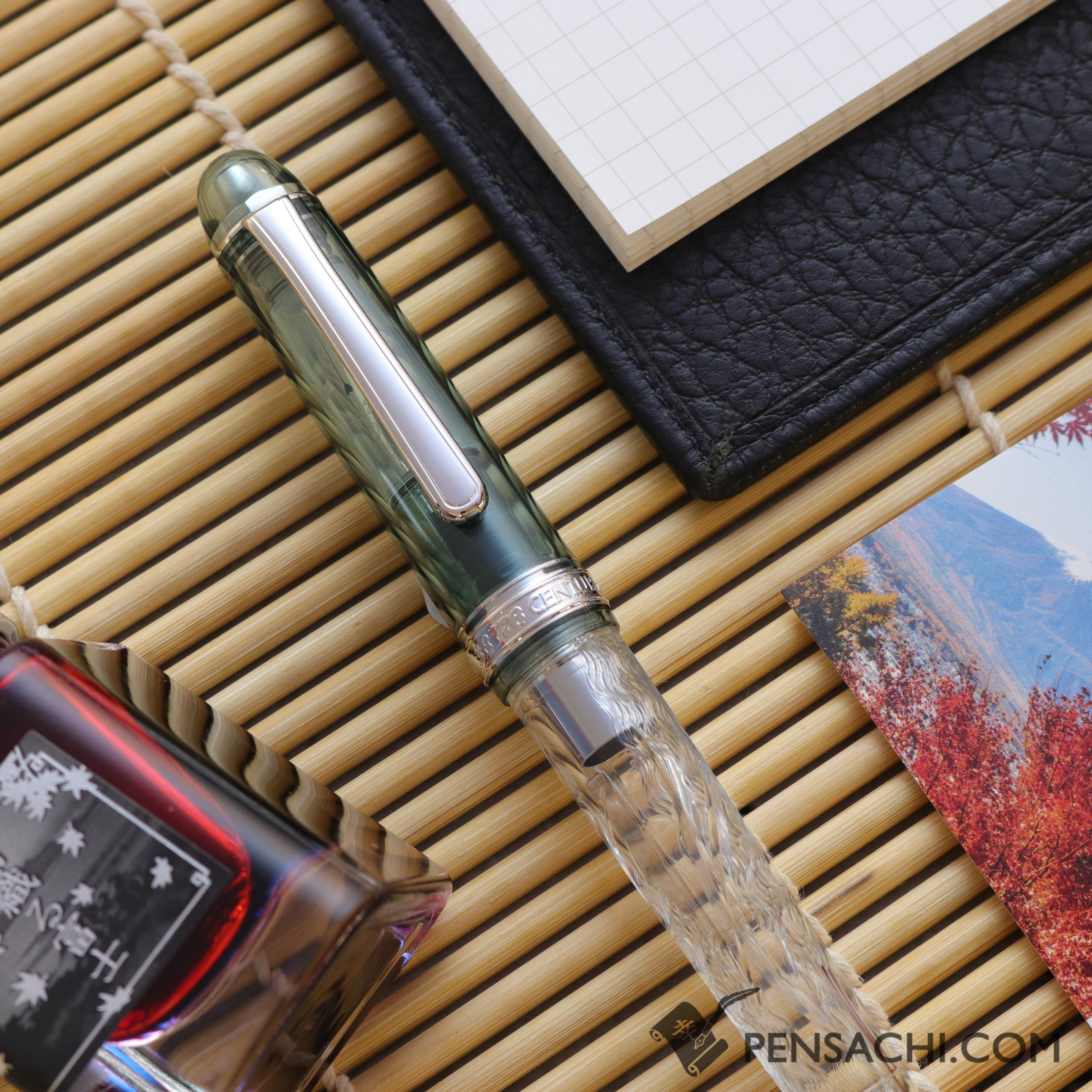 PLATINUM Limited Edition #3776 Century Fountain Pen - Kinu Gumo