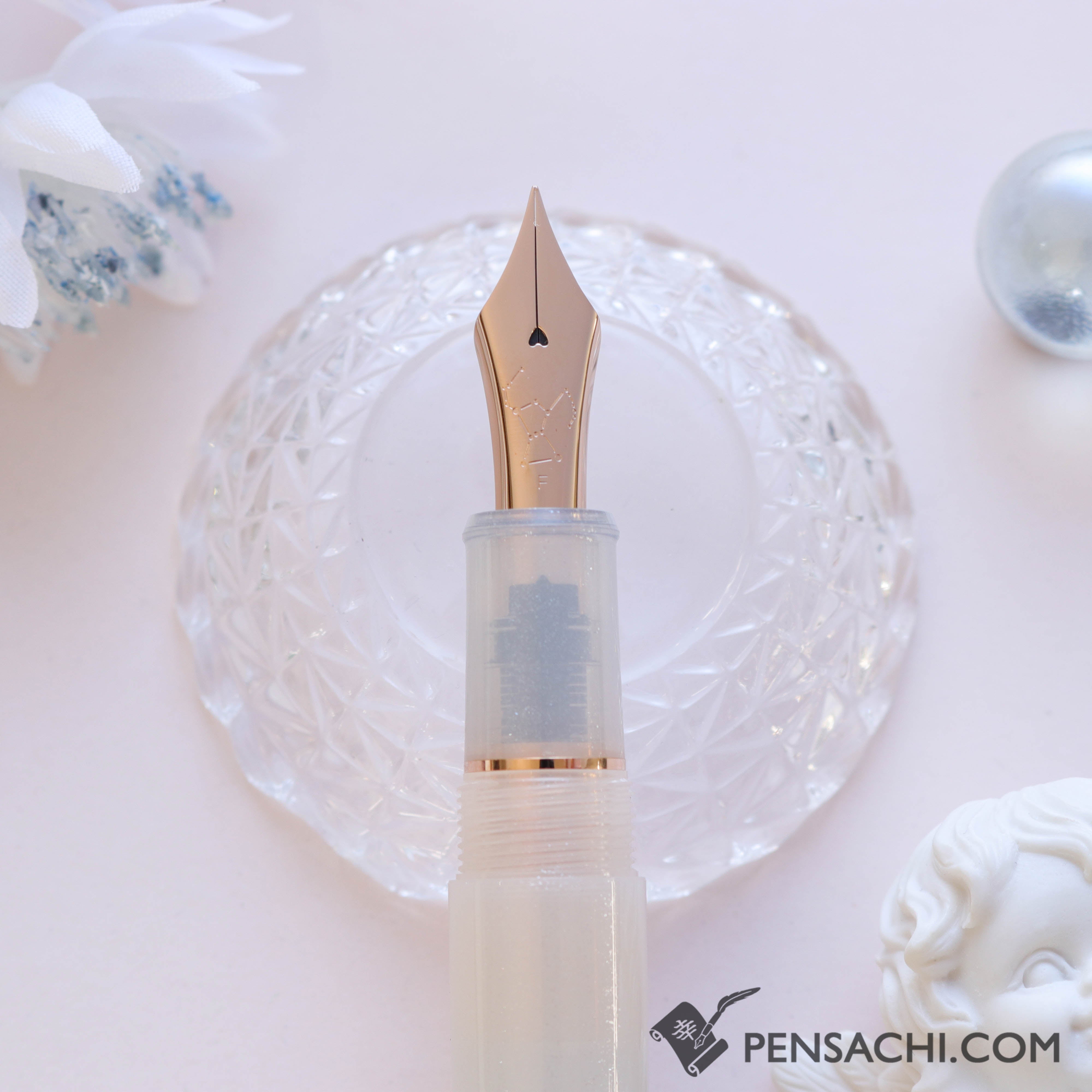 PLATINUM Limited Edition #3776 Century Fountain Pen - Hatsuyuki