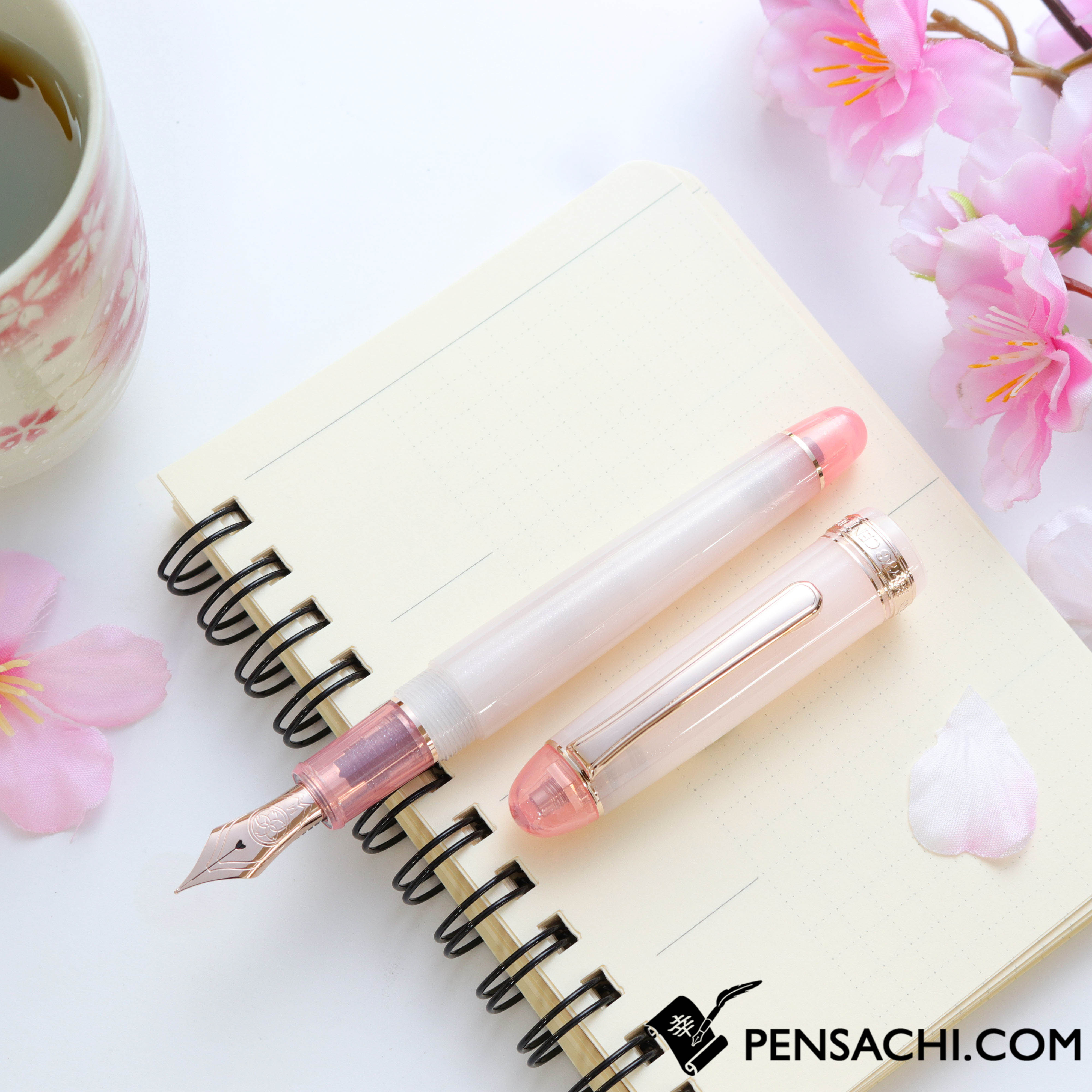 PLATINUM #3776 Century Limited Edition Fountain Pen - Sakura Gozen