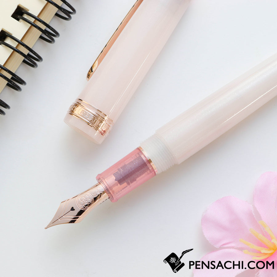 PLATINUM #3776 Century Limited Edition Fountain Pen - Sakura Gozen