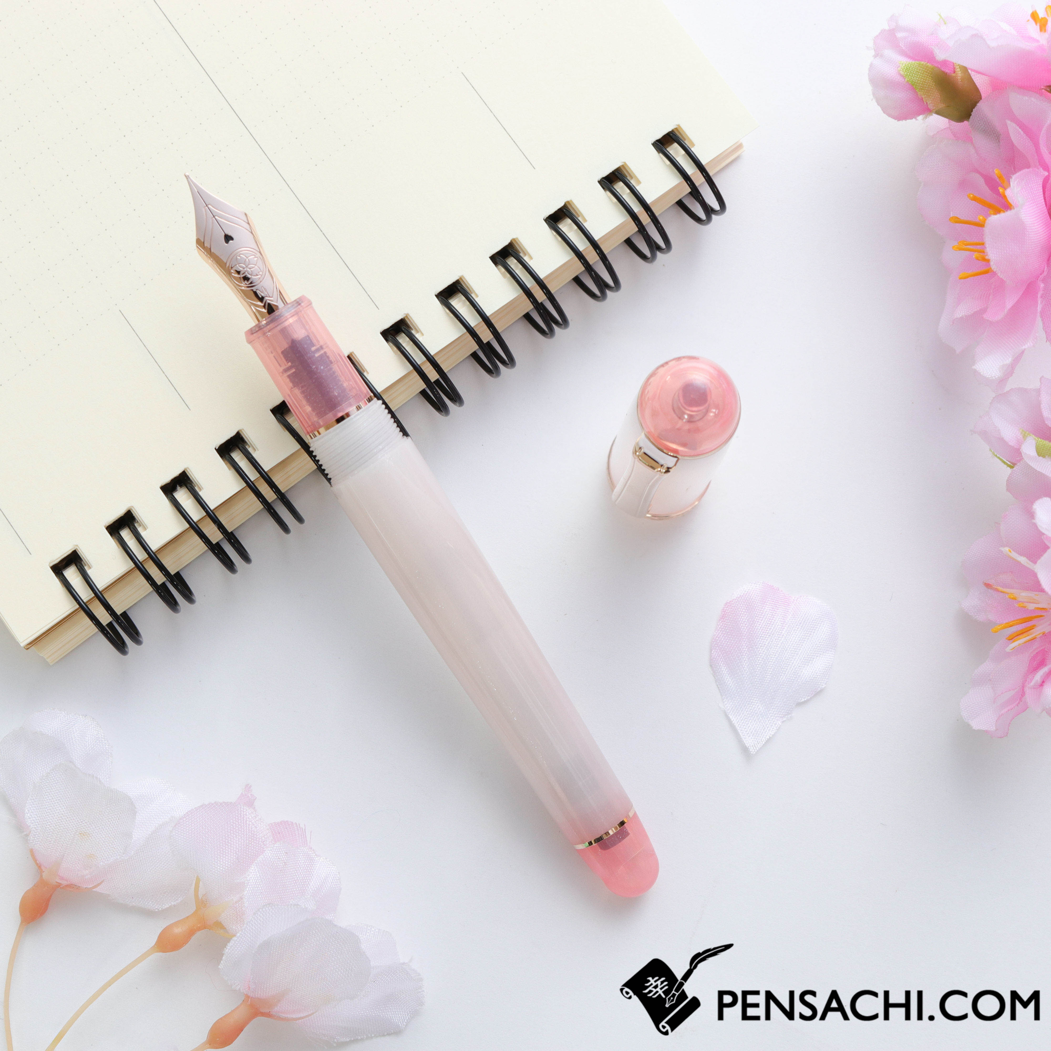 PLATINUM #3776 Century Limited Edition Fountain Pen - Sakura Gozen