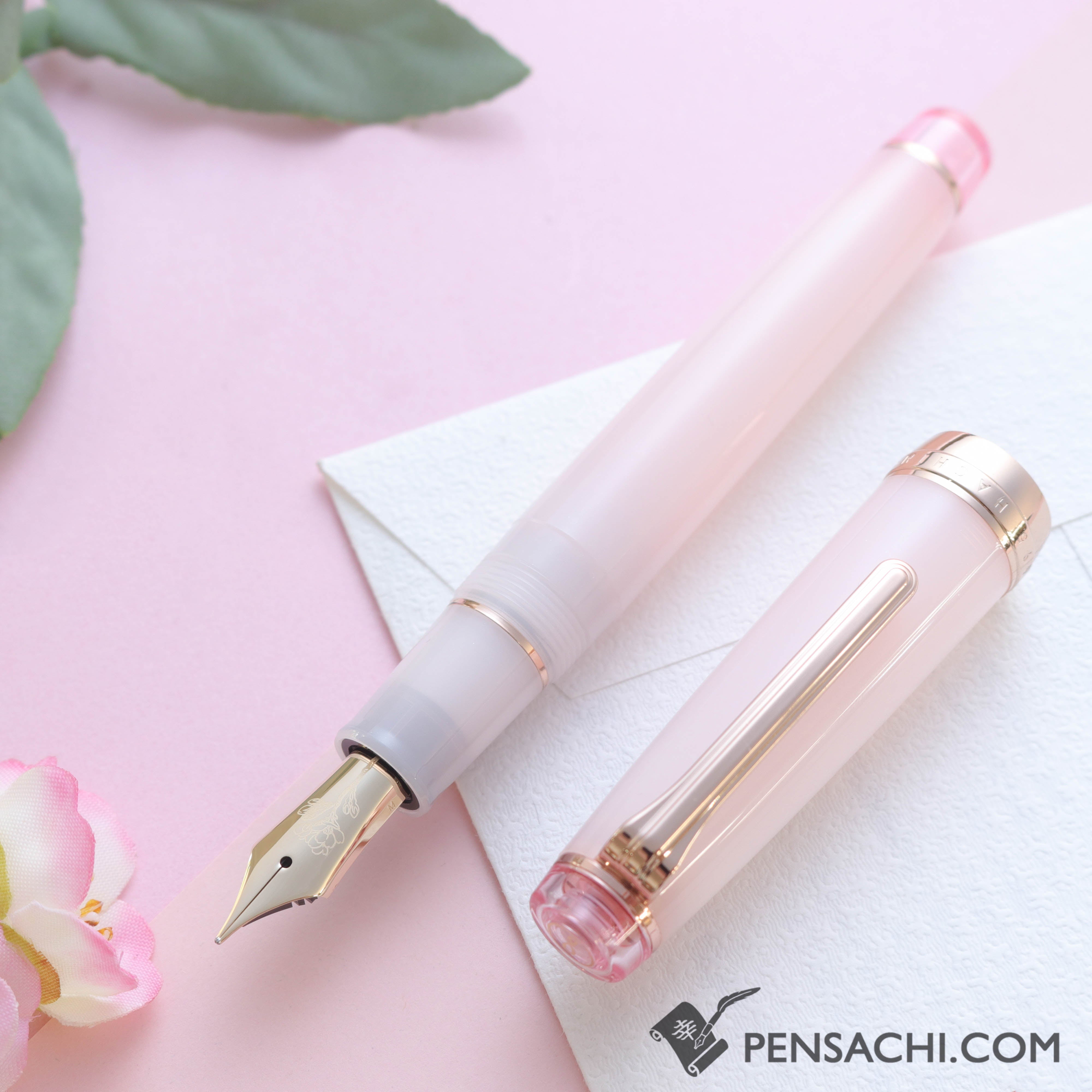SAILOR Limited Edition Pro Gear Fountain Pen - Kubo Sakura– PenSachi