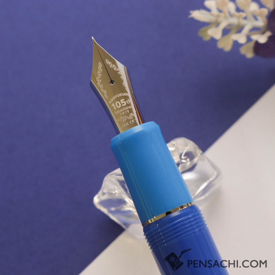 PILOT Limited Edition Custom Heritage 912  Fountain Pen - Aikabuto - PenSachi Japanese Limited Fountain Pen