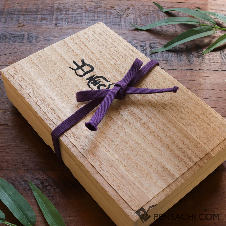 PLATINUM Izumo Takeami Fountain Pen - Ankokushoku - PenSachi Japanese Limited Fountain Pen